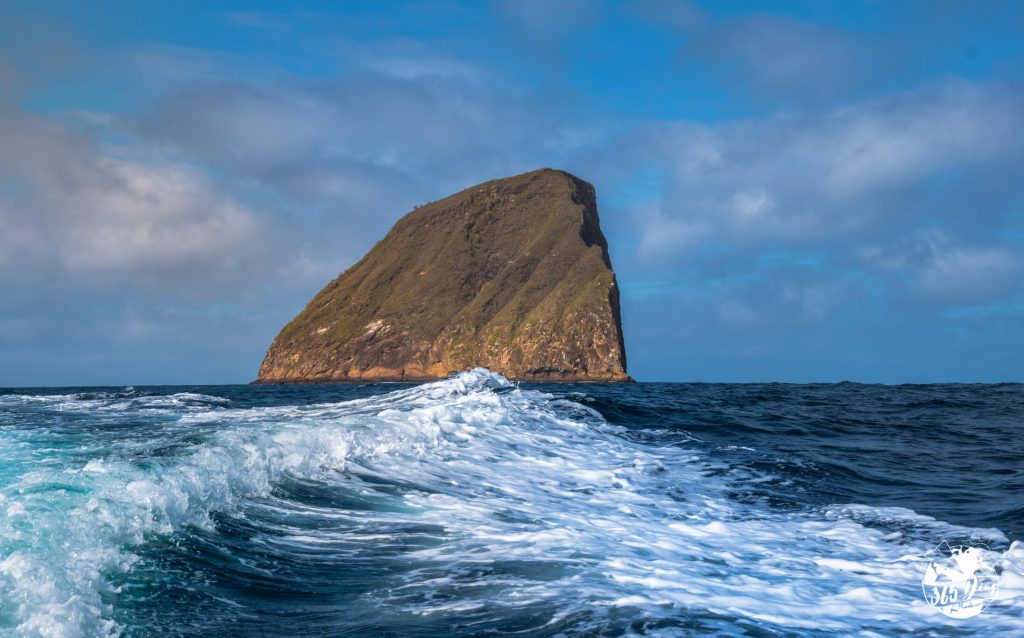 365_dias _no _mundo_galapagos_pinzon