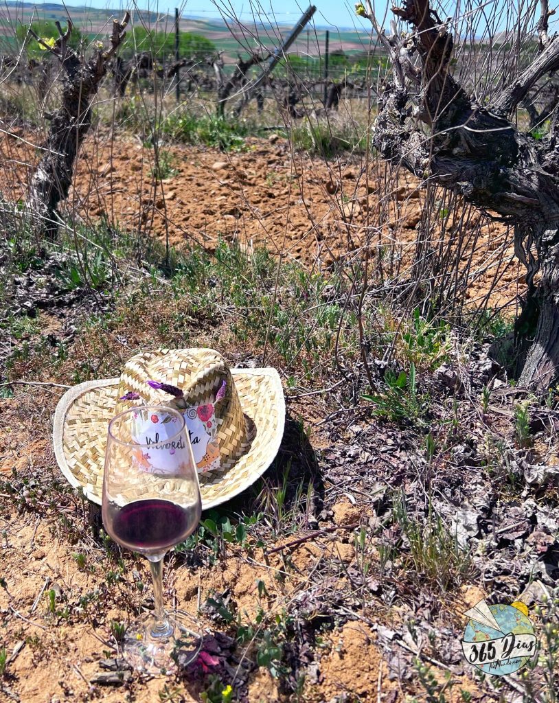 chapéu de palha e copo de vinho em vinha toro