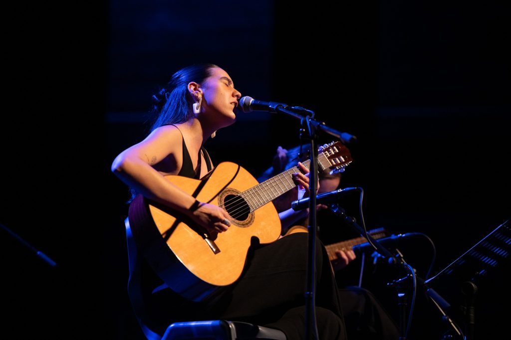 Festival Cordas Pico