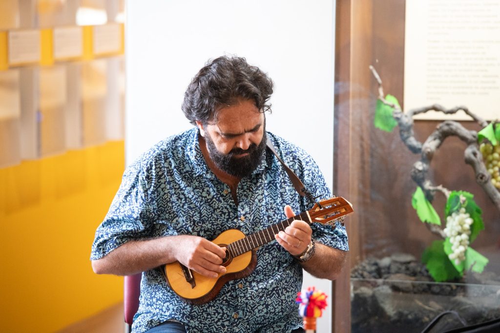 Festival Cordas Pico