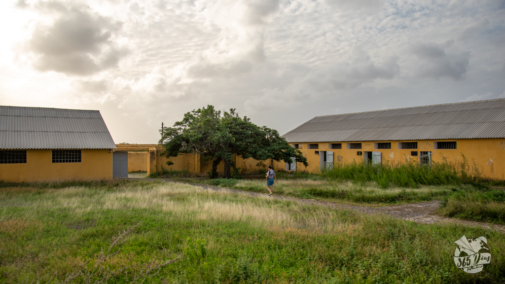 365diasnomundo campo chão bom tarrafal